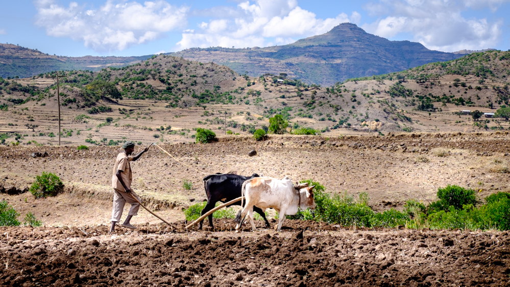 Timpul a stat pe loc pentru agricultorii din Etiopia