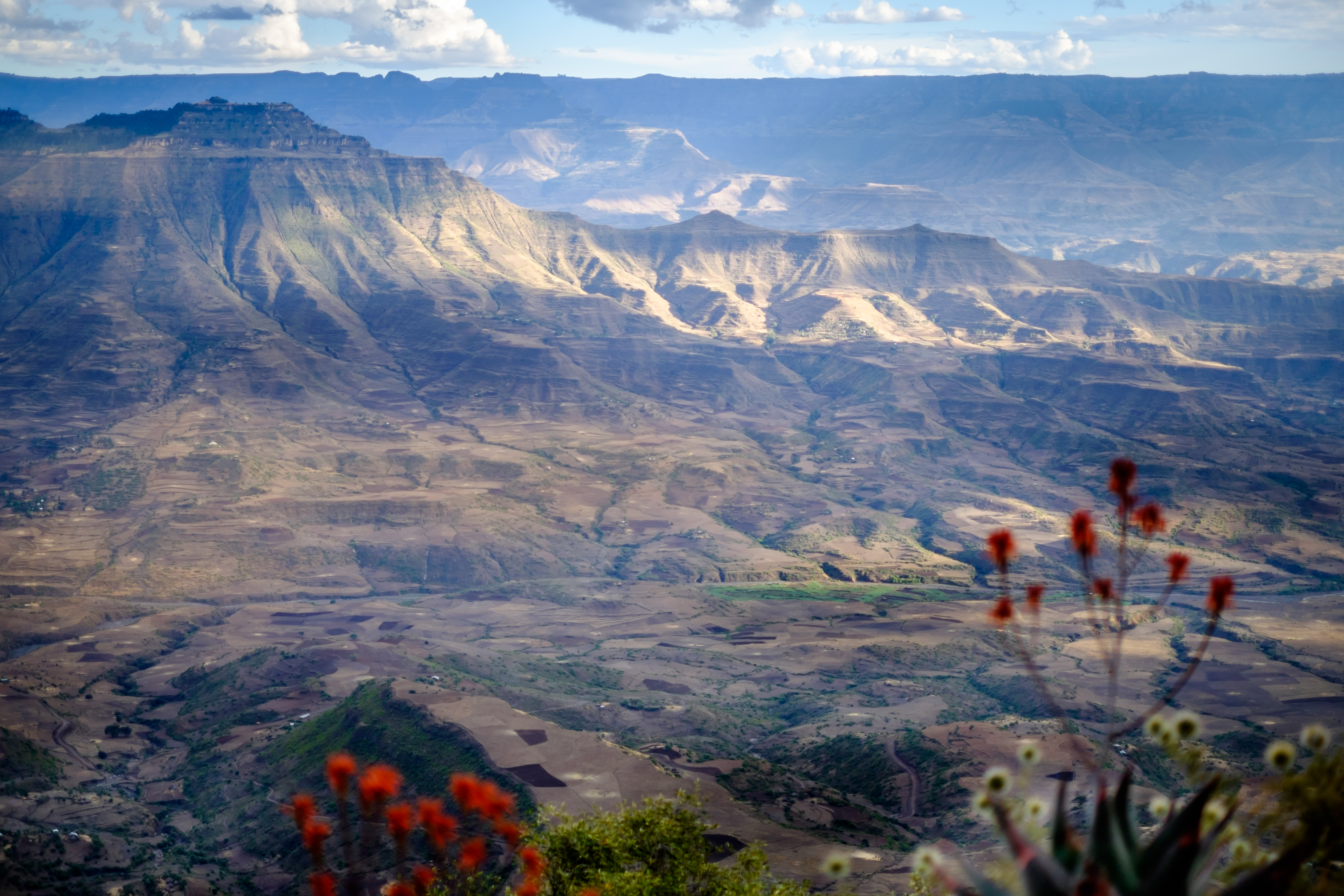 La prima vedere ai putea spune ca este Grand Canyon. Dar surpriza, este in Etiopia, nu in America