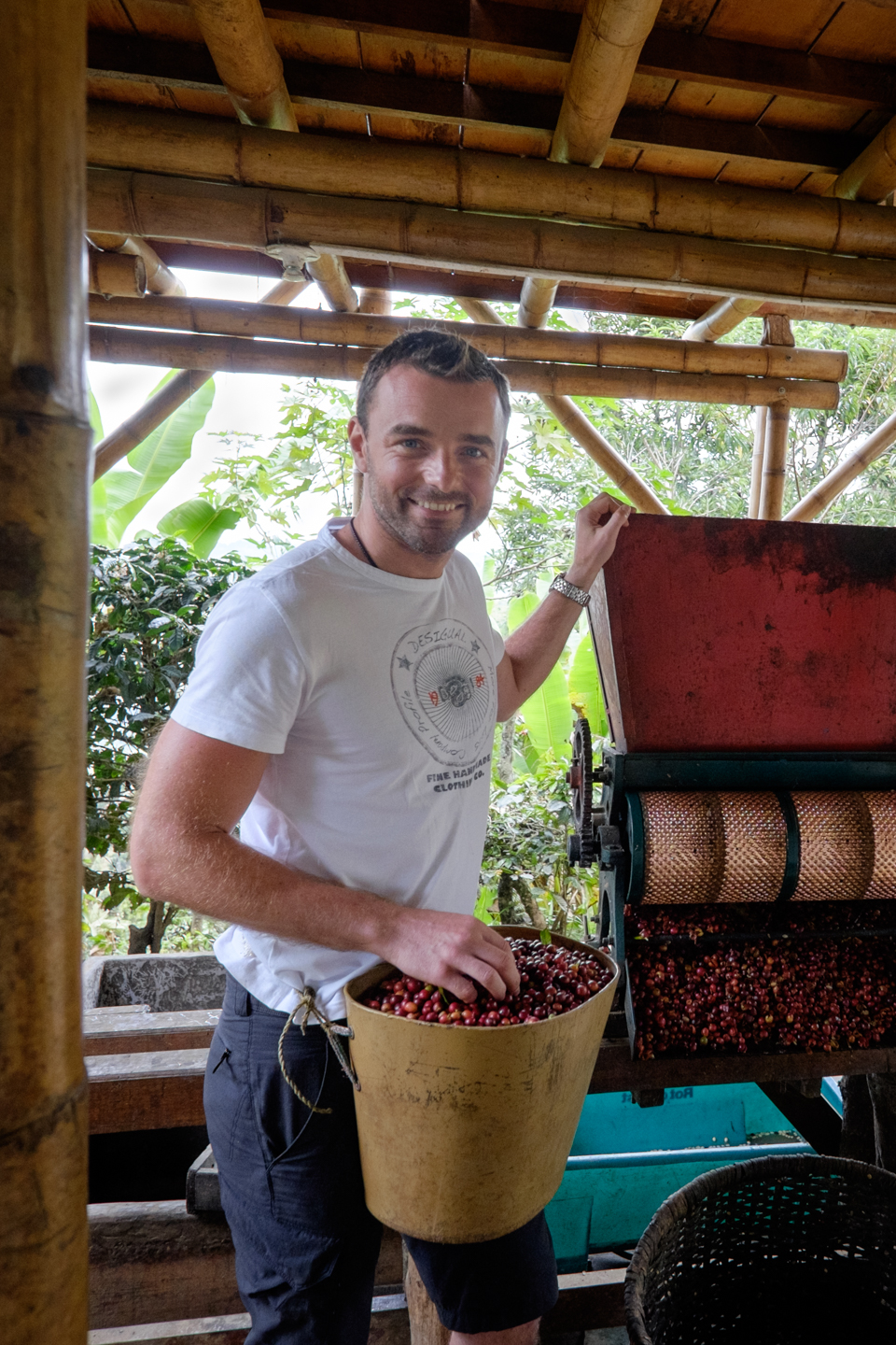 Columbia, Zona Cafetera. Procesul cafelei,d e la culegerea boabelor pana la arroma din ceasca 