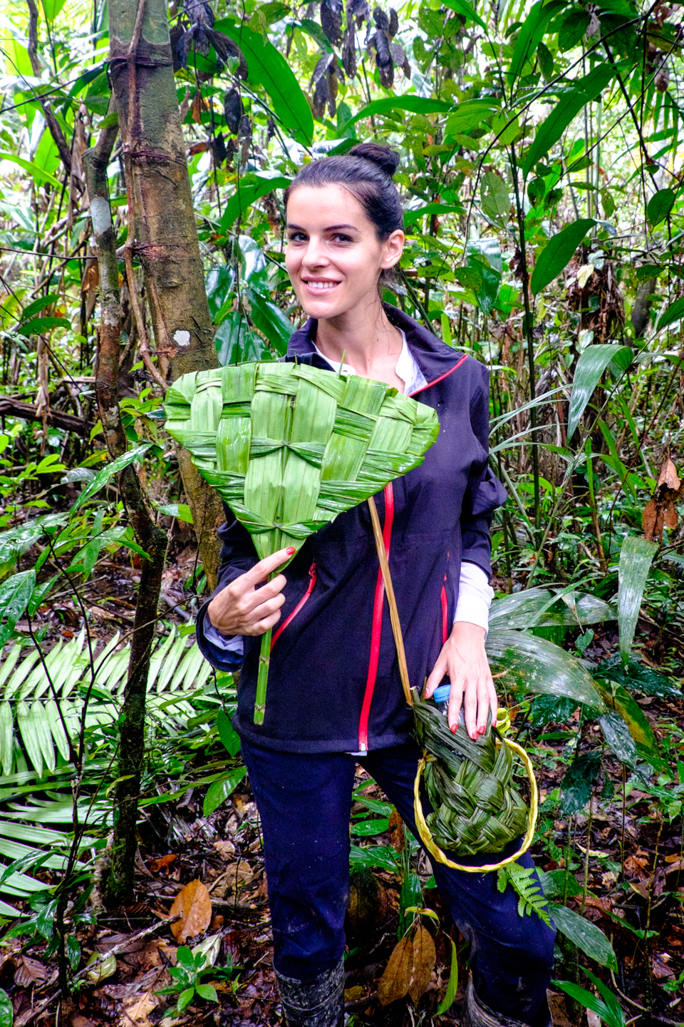 Chochetaria amazoniana