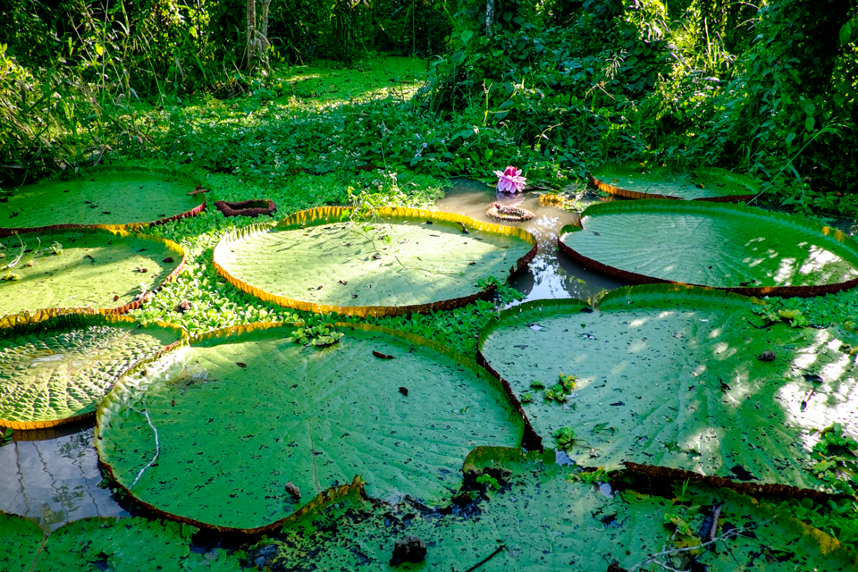 Pentru iubitorii de natura acest loc e paradis