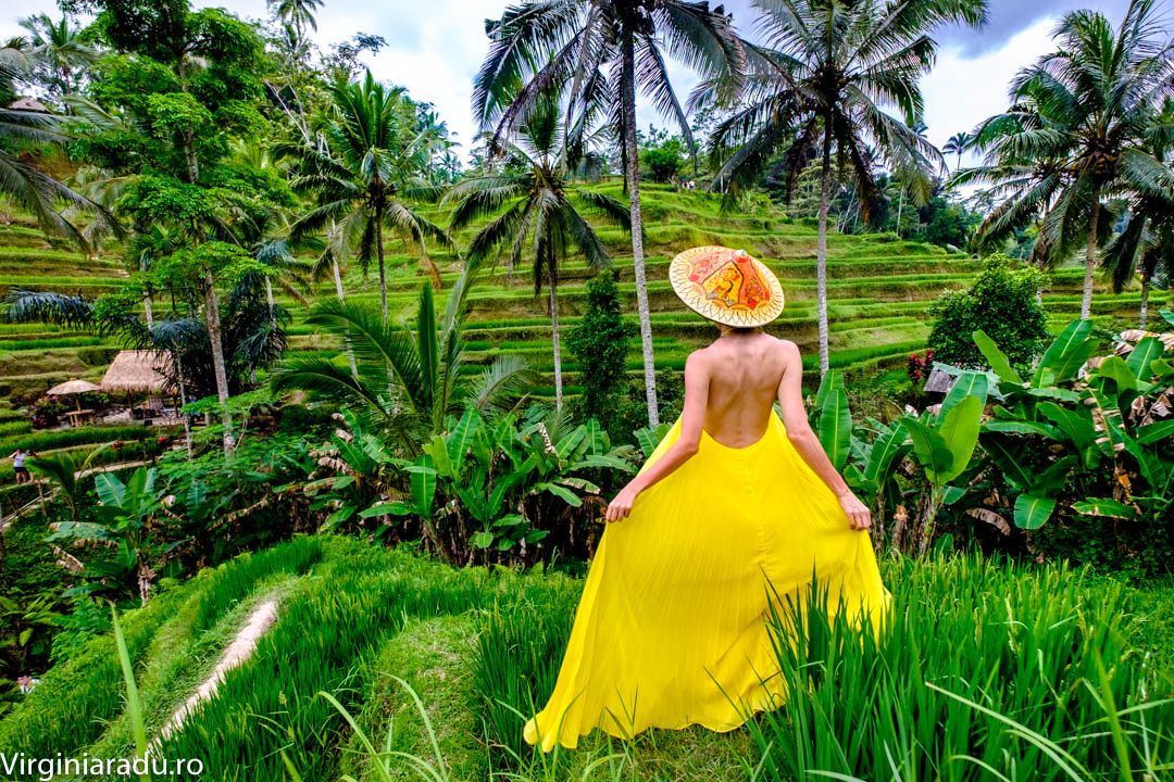 La doar 20 minute de Ubud poti admira aceasta oaza numita Tegallalang