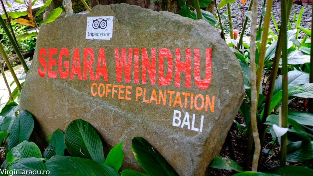 Segara Windhu plantation. Un loc in care pot sa degusti diverse tipuri de cafea, pe gratis. La intrare te intampina un ghid, care iti prezinta tipurile de cafea pe care ei le cultiva. La final, poti cumpara cafea sau ceai, dar nu e obligatoriu